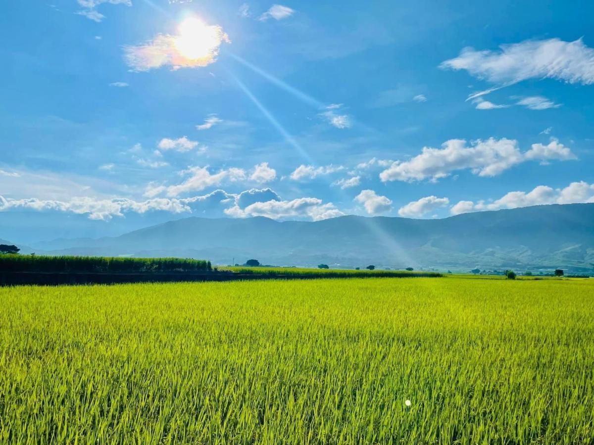 關山稻香田園民宿 Haiduan Dış mekan fotoğraf